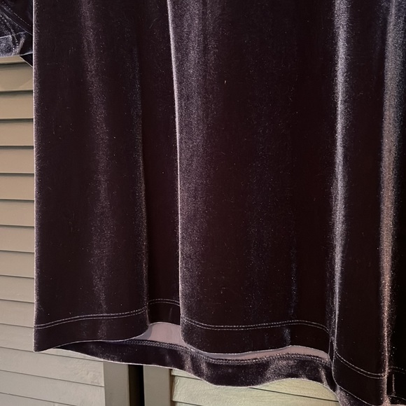 Madewell velvet ruffle sleeve top - size M - Picture 3 of 6